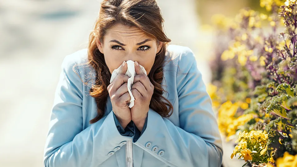 Фото: elements.envato.com