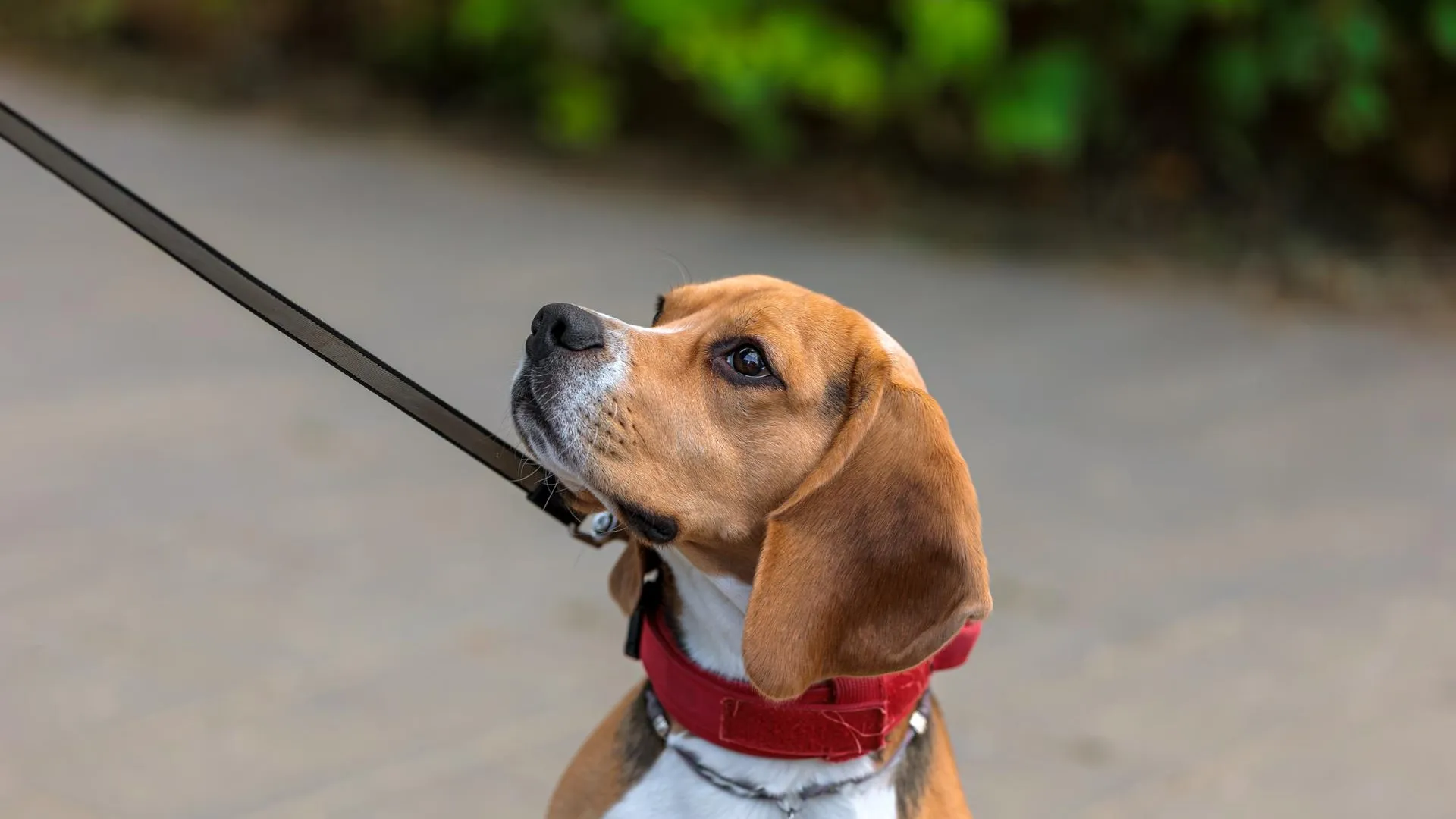 медиасток.рф