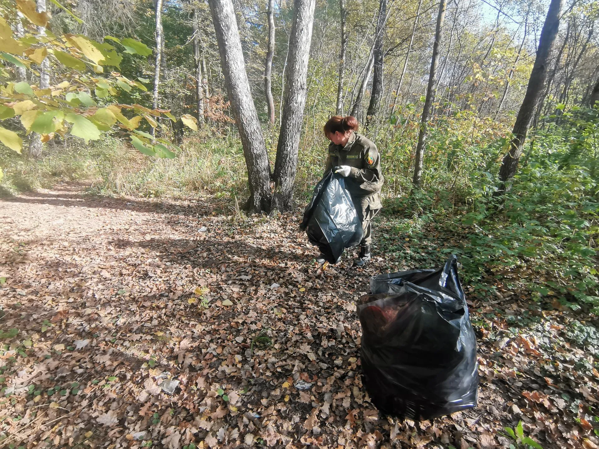 Комитет лесного хозяйства Московской области