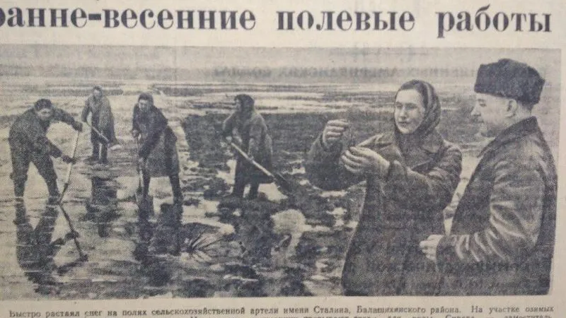 Весна пришла: о чем писала газета 4 апреля 1951 года