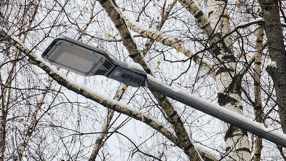 Фото: МедиаБанк Подмосковья/Валентина Максимова