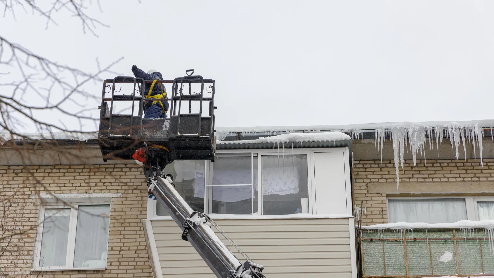 Наталья Лымарь