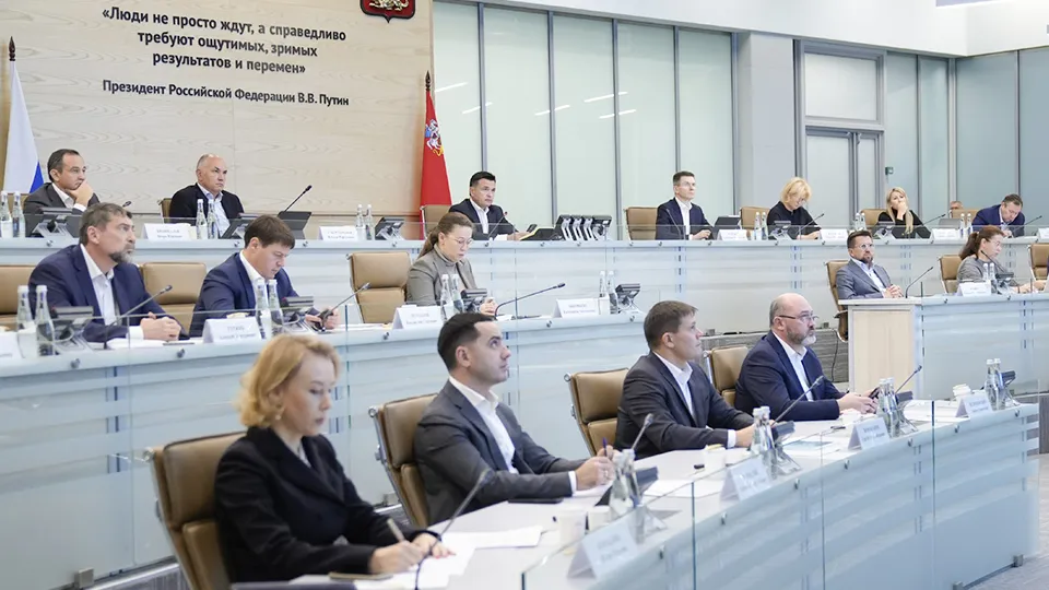 Фото: пресс-служба губернатора и правительства Московской области/Александра Степанова