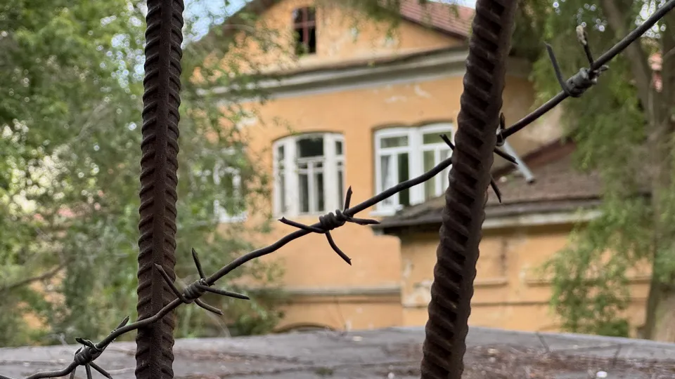 Фото: Александр Легкий