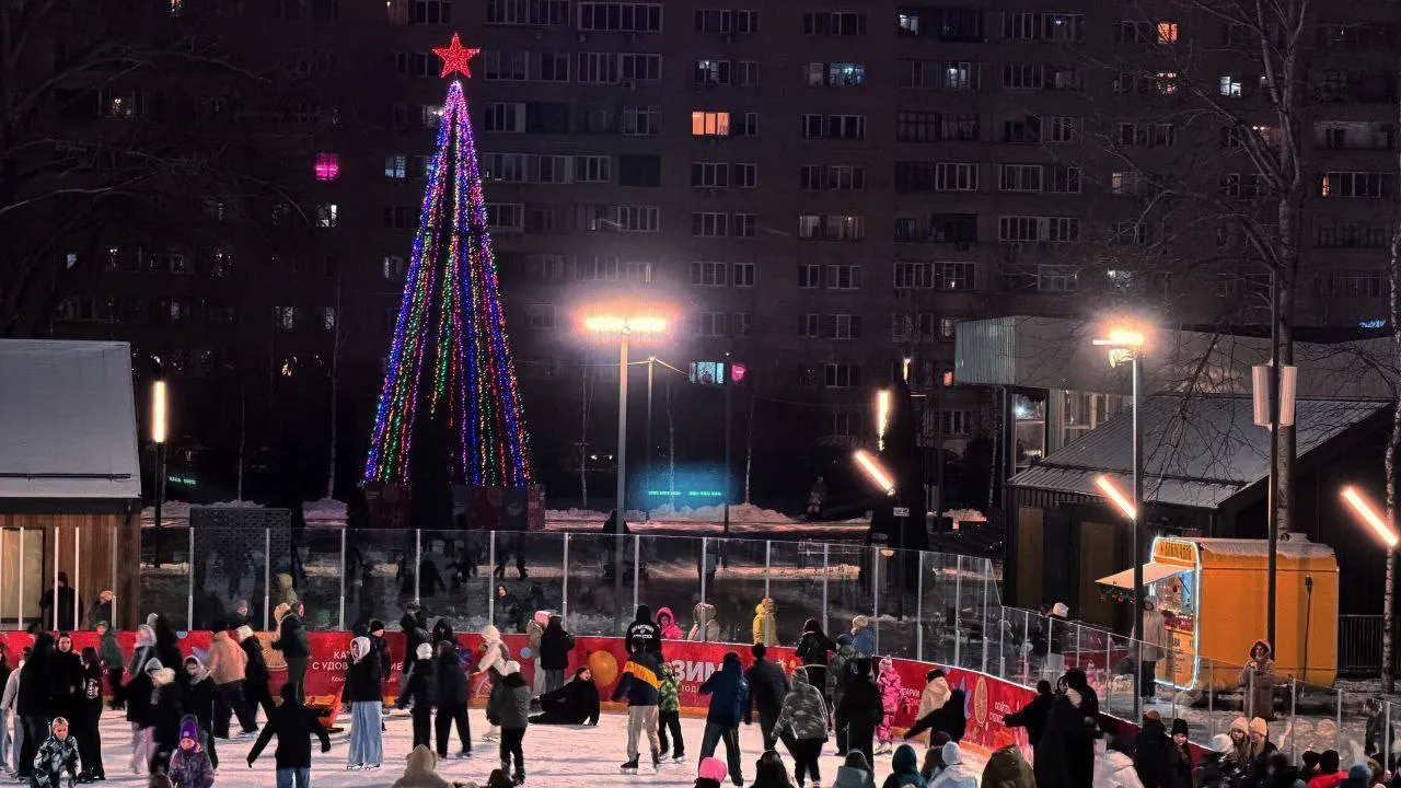 Фото: t.me/AnnaKrotova_Lobnya