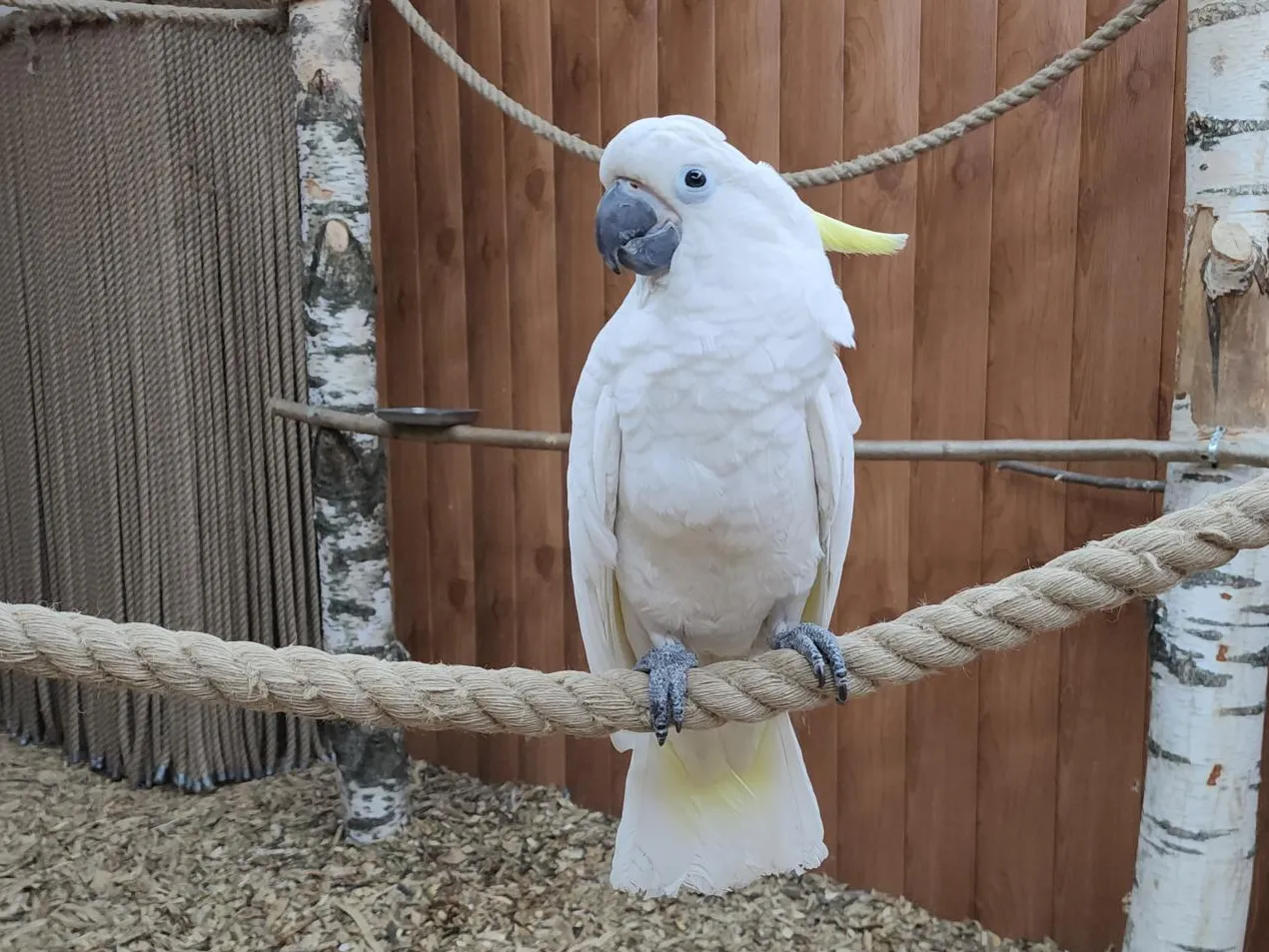 Фото: REGIONS/Артем Мишуков