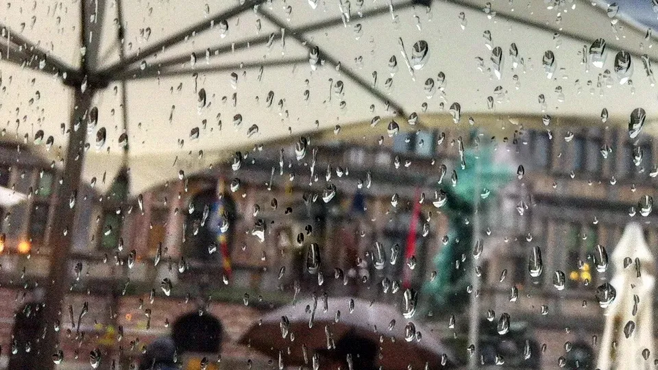 Фото: pxhere.com