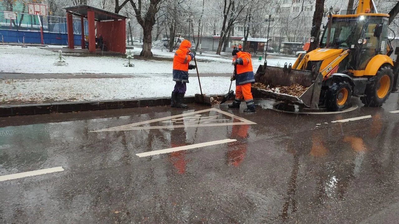Фото: МедиаБанк Подмосковья/Наталья Лымарь