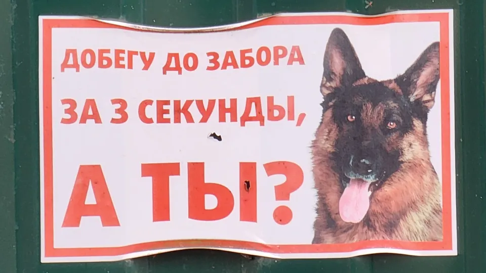 Фото: МедиаБанк Подмосковья/Валентина Максимова