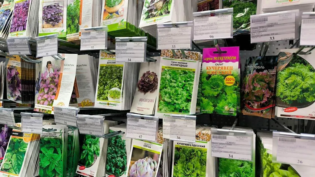 REGIONS/Роман Малышенко