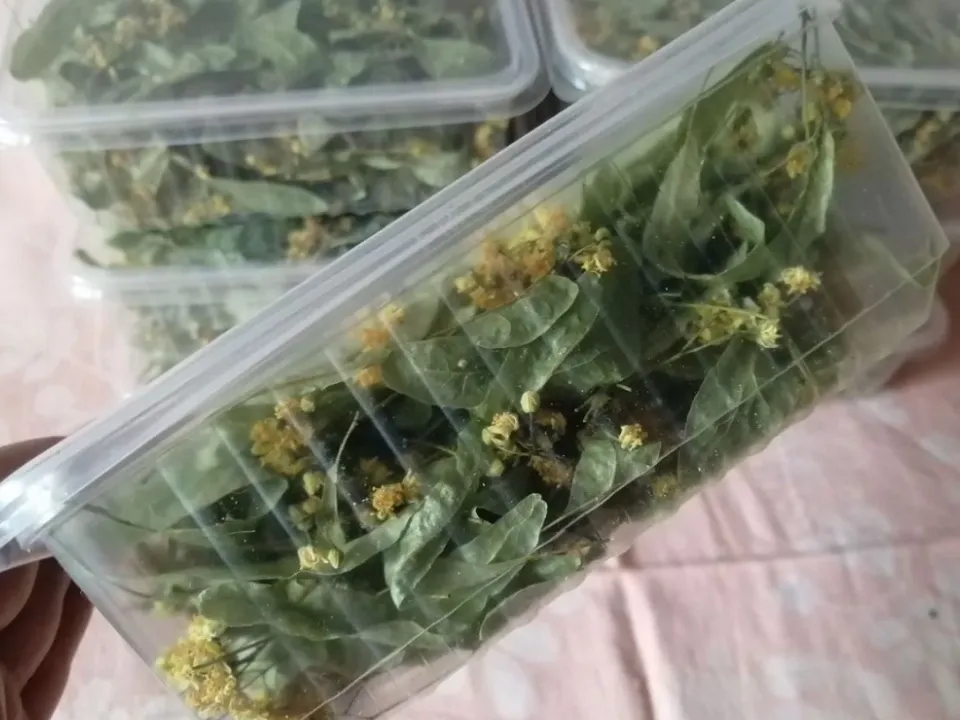 Фото: городская доска объявлений