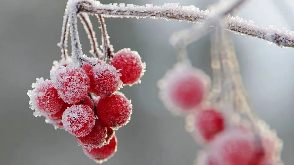 Фото: Ольга Калинина