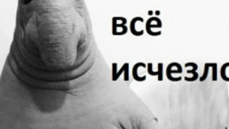 vk.com