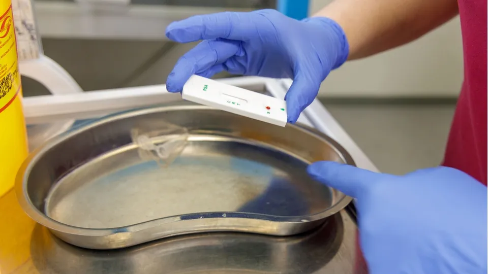 Фото: МедиаБанк Подмосковья/ Наталья Лымарь