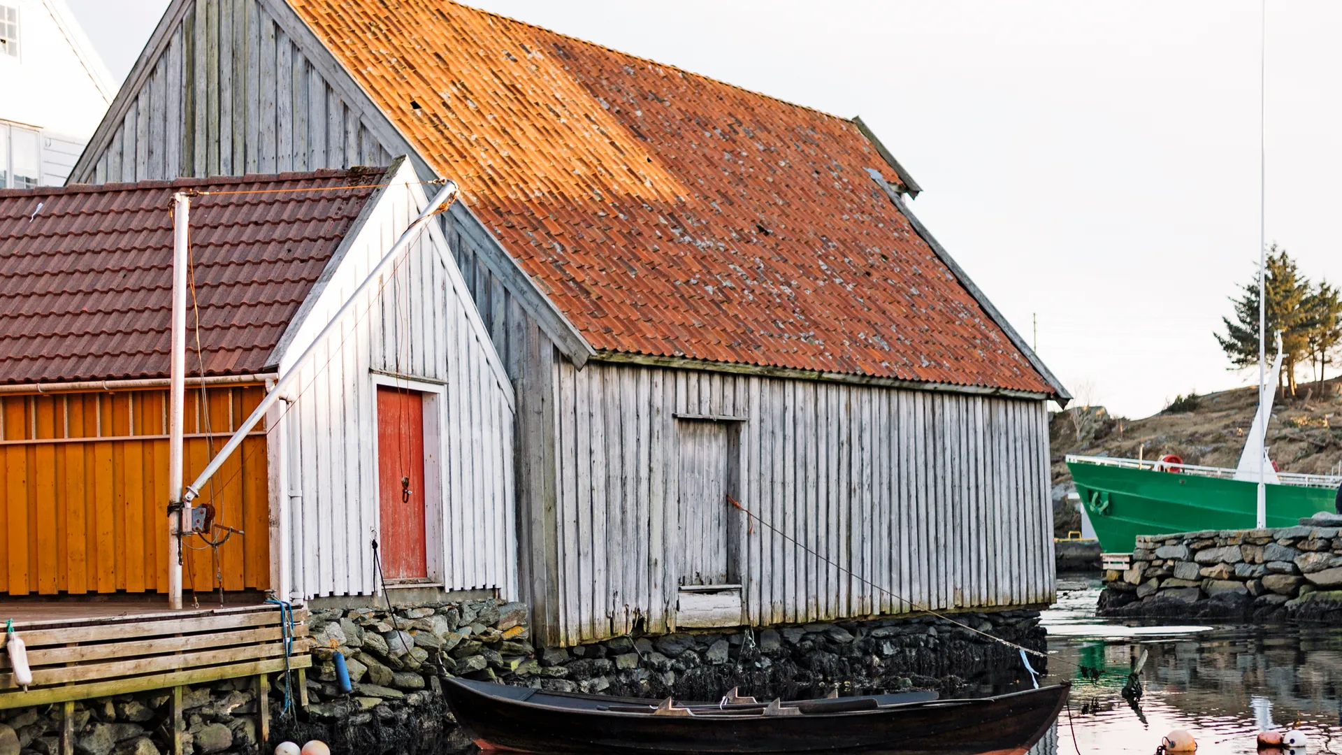 Фото: freepik.com