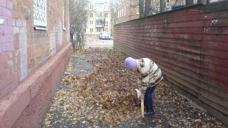 Мужчина помог старушке в Долгопрудном решить проблему с уборкой улицы благодаря соцсетям