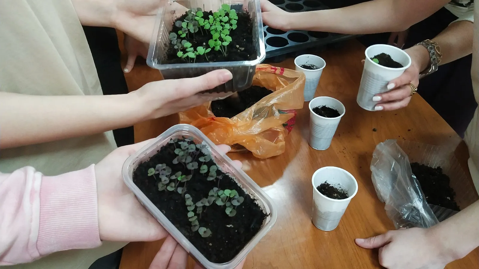 Фото: Шугаровский ДК МБУК «КТЦ» г.о. Ступино