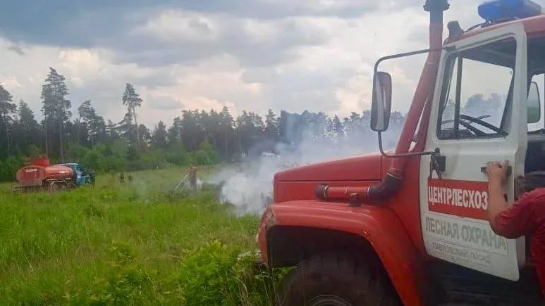 Жителей и гостей Подмосковья предупредили о крайне высокой пожароопасности в лесах