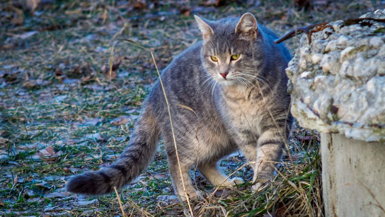Фото: Герман Оксюта