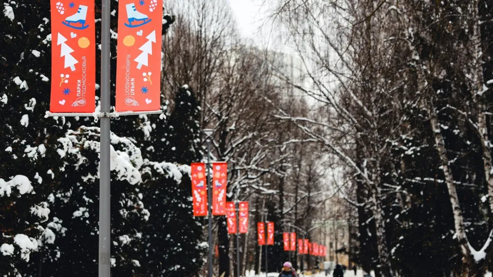 Фото: пресс-служба администрации г.о. Химки