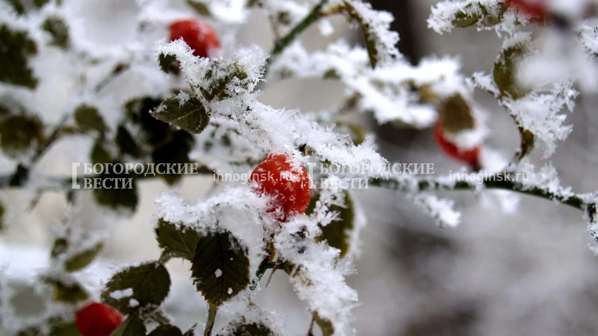 REGIONS/Александр Легкий