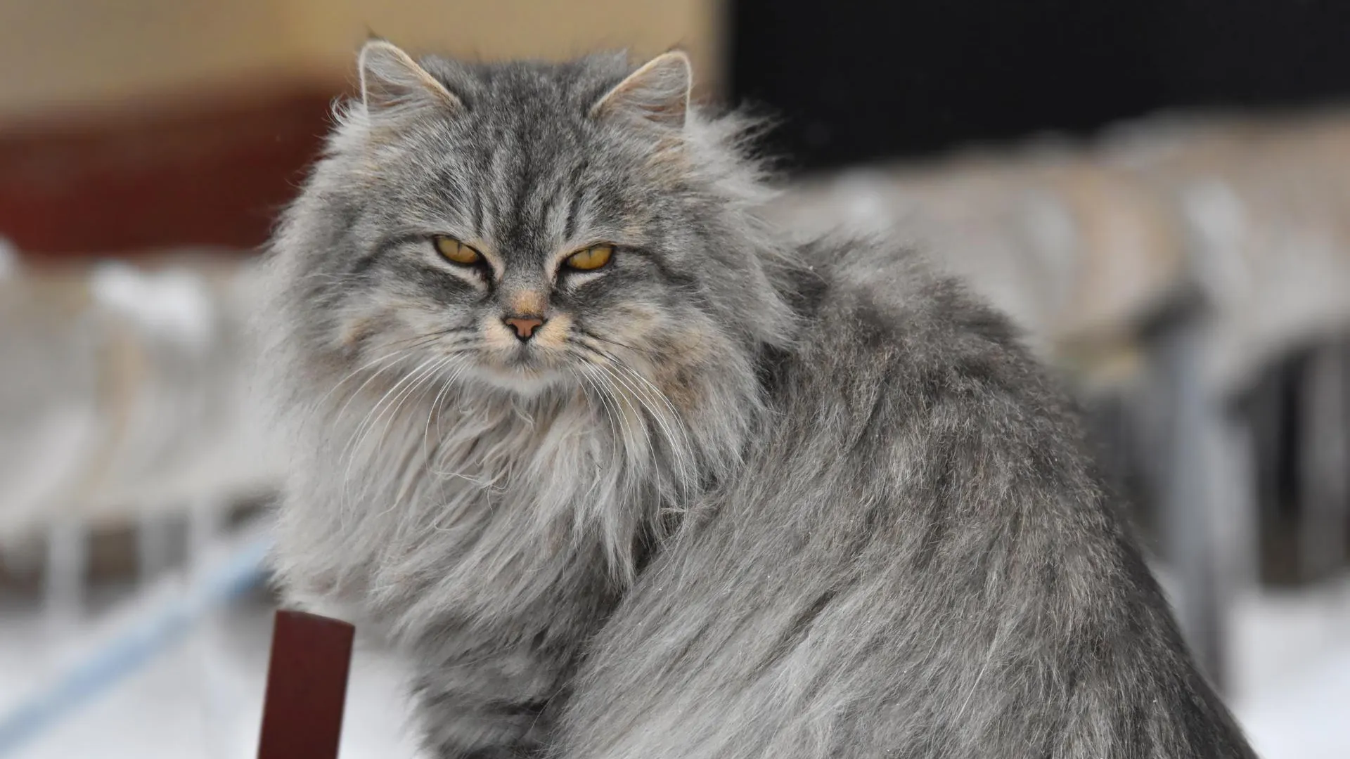 Фото: Оксана Лапшина