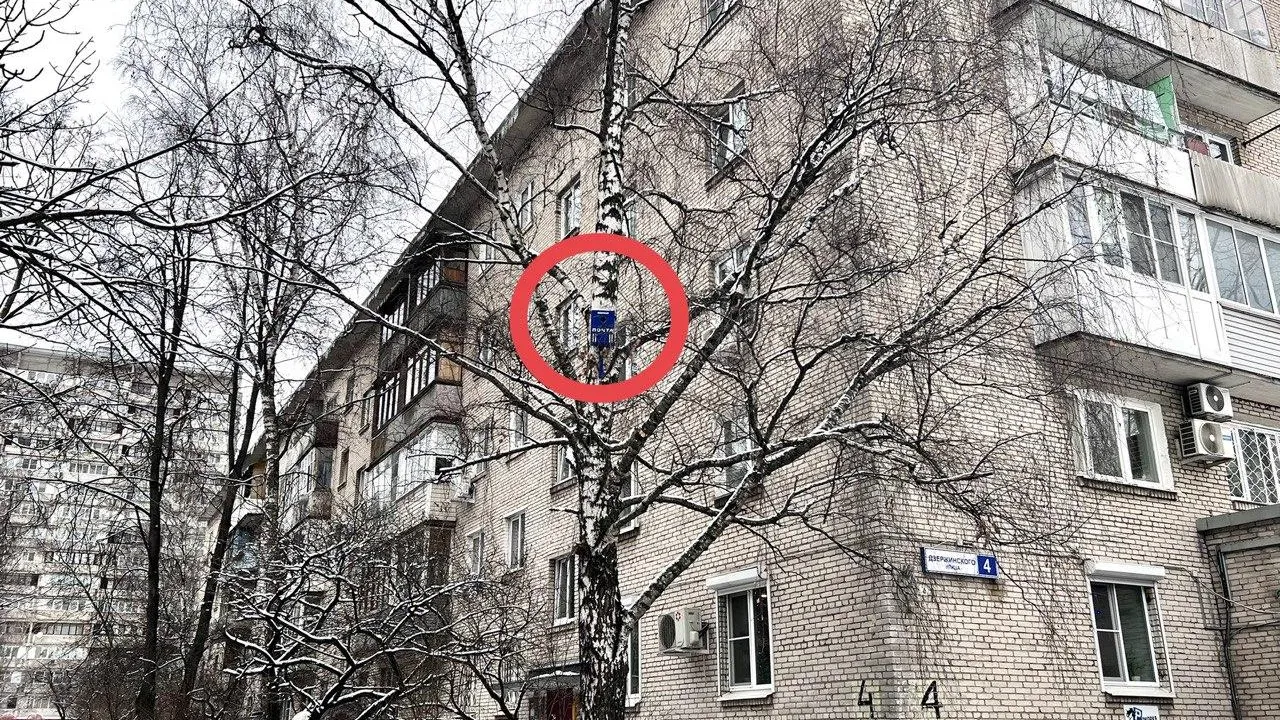 Фото: Валех Елчиев