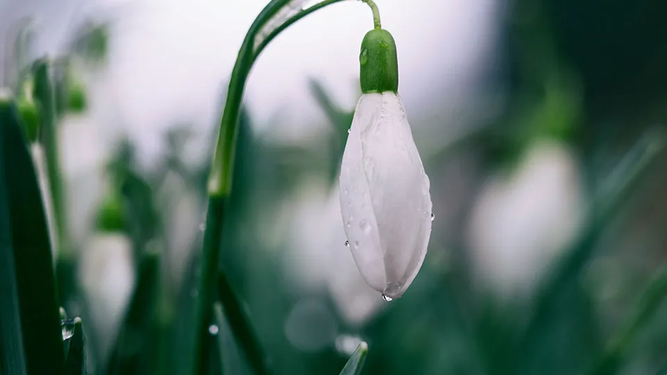 Фото: unsplash.com