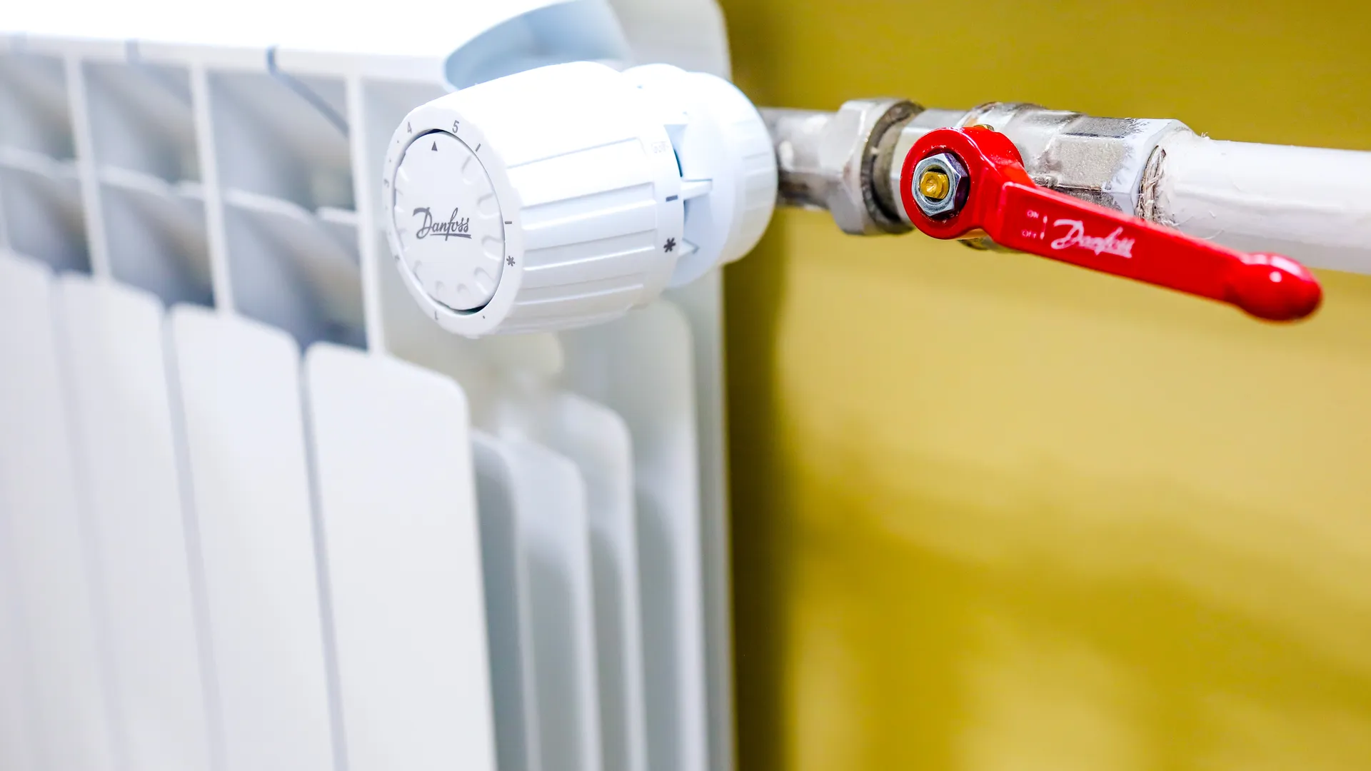 Фото: Виталий Ватулин