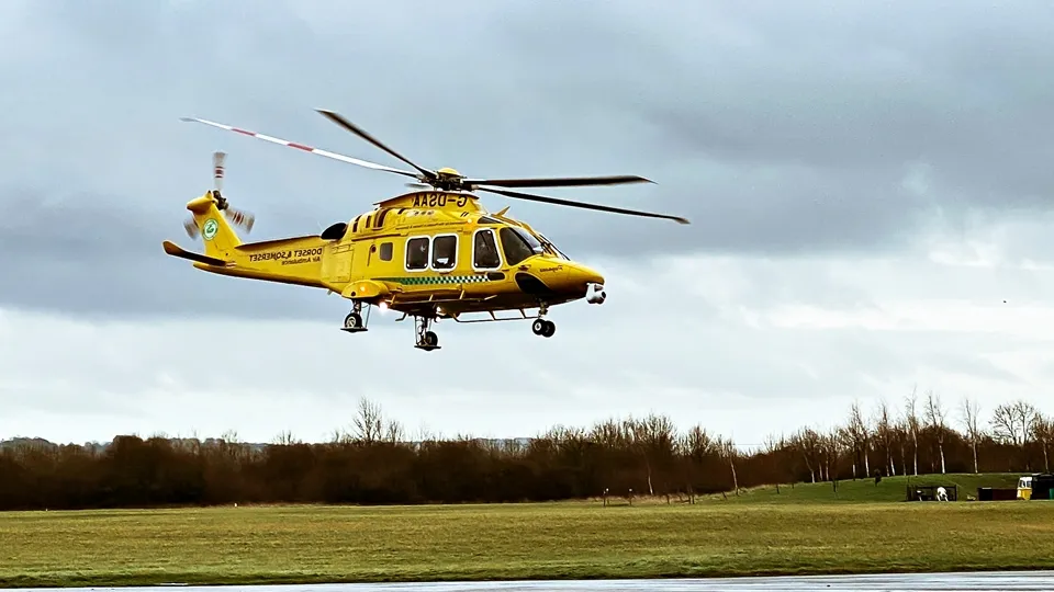 Фото: freepik.com