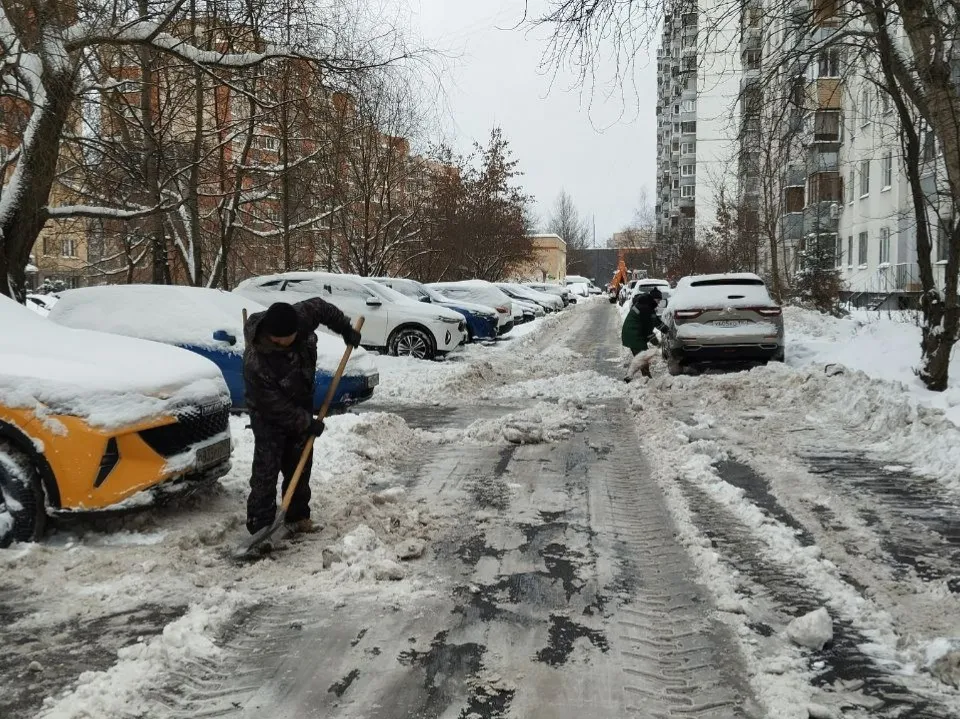 Фото: пресс-служба администрации г.о. Химки