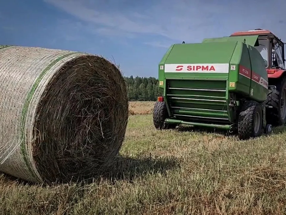 Фото: Ольга Антонова&nbsp;