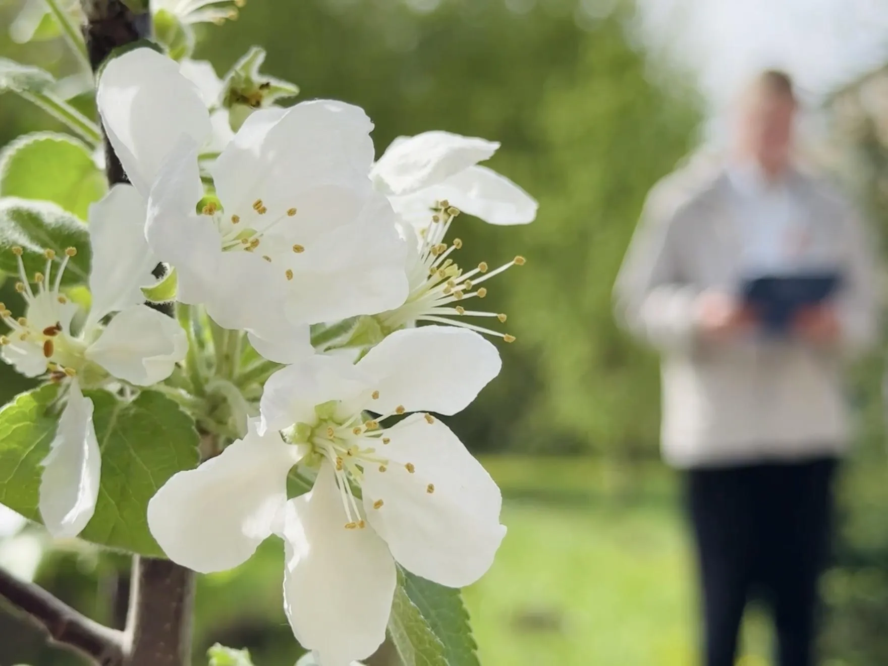 Фото: Ольга Стаферова