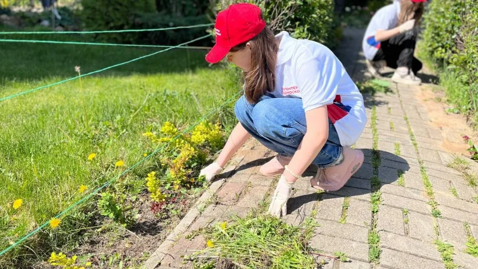 Фото: vk.com/ Можайск | Молодежный Медиацентр