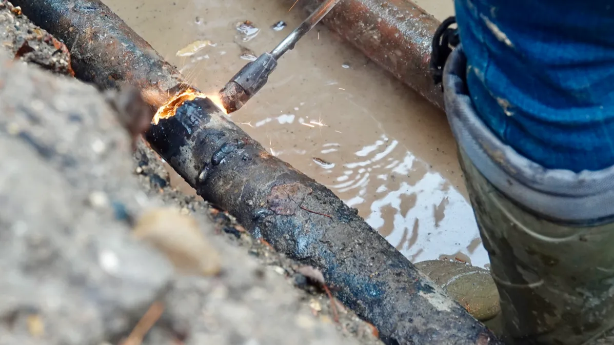 Фото: МедиаБанк Подмосковья/Дарья Леонова