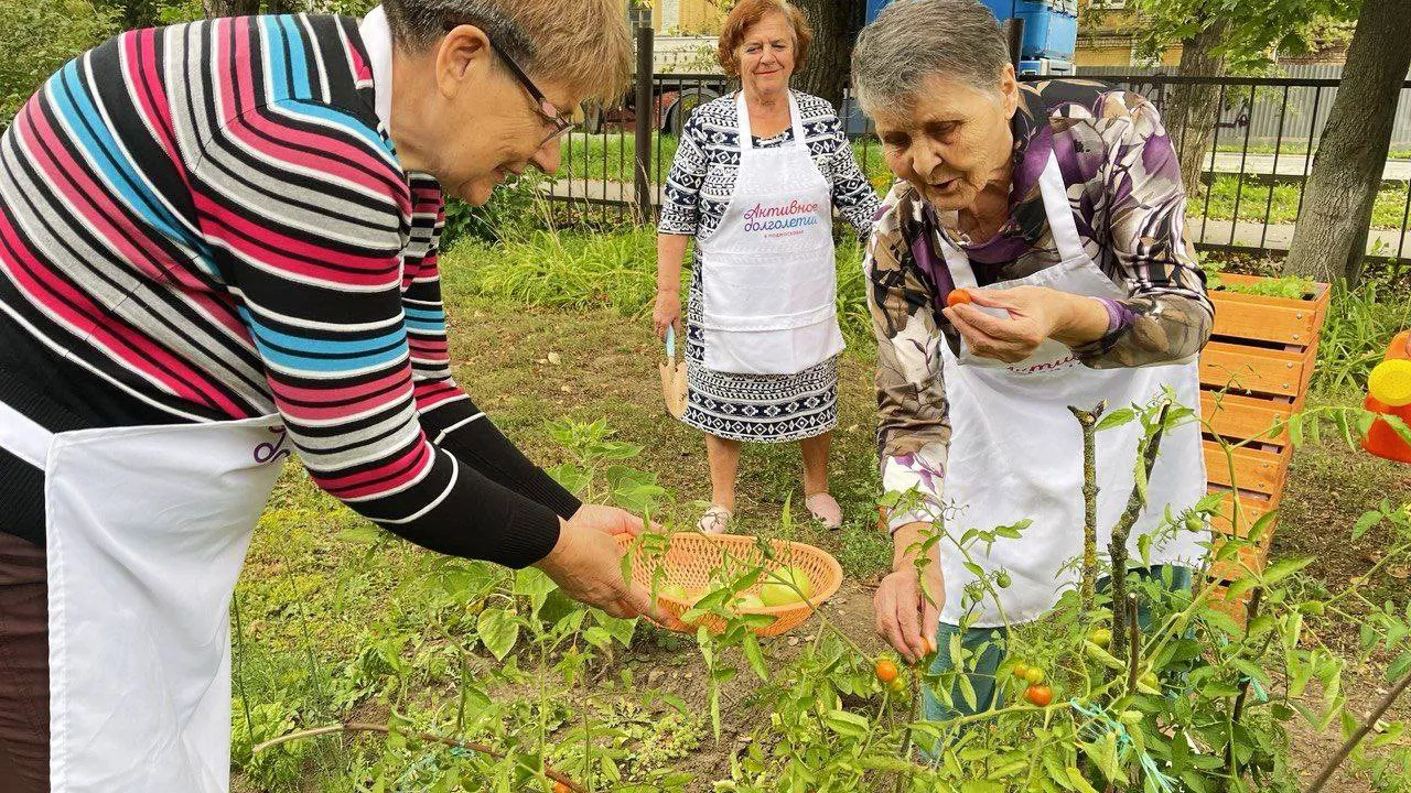 Фото: проект «Активное долголетие» г. Щелково