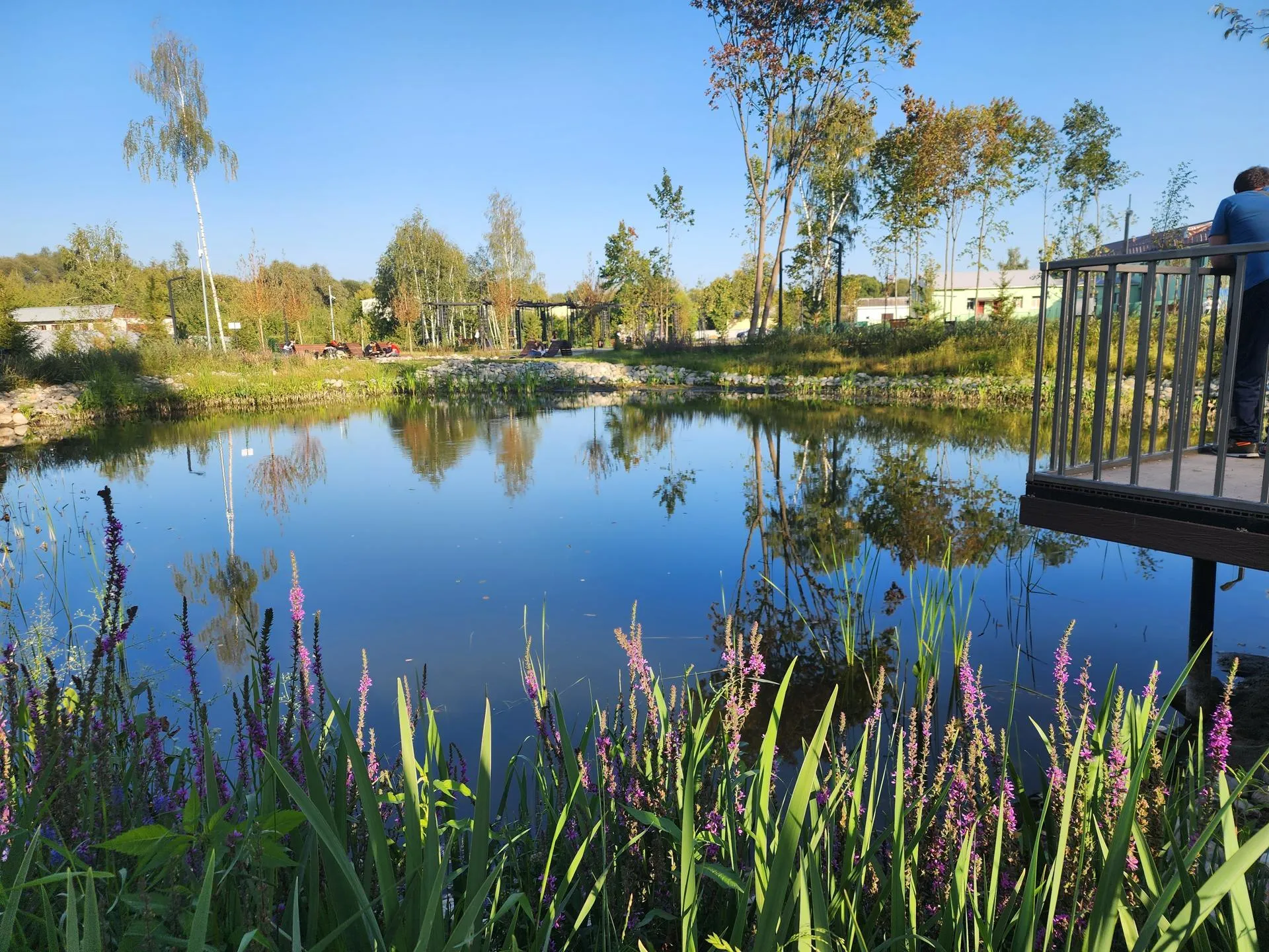 Источник: Алена Притула