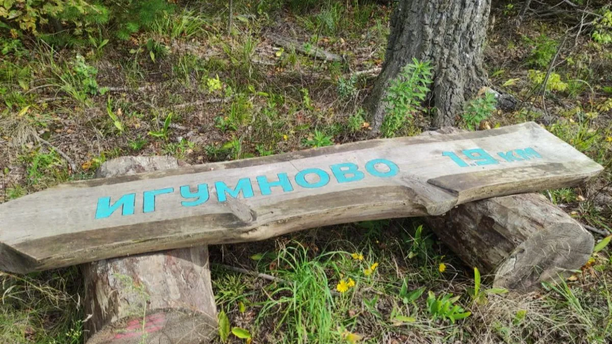 фото: соцсети