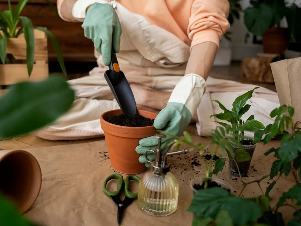 Фото: freepik.com