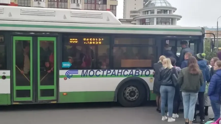 Фото из открытых источников