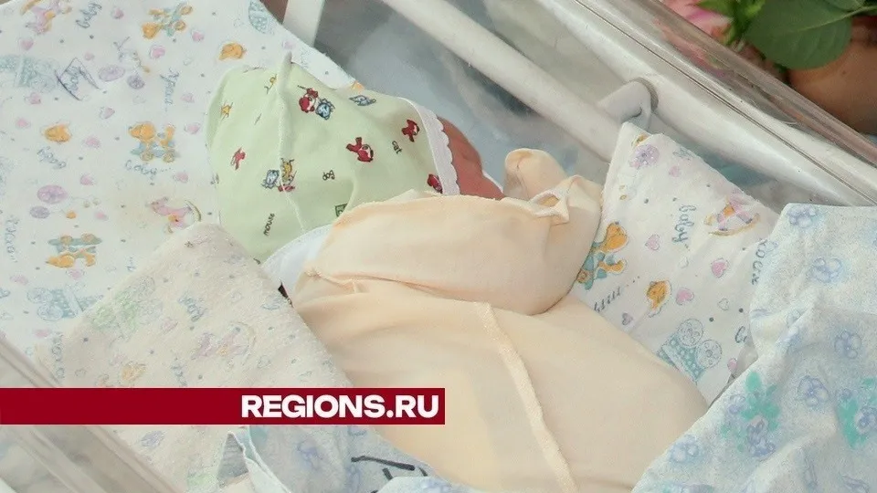 Фото: REGIONS/Александр Дрожжин