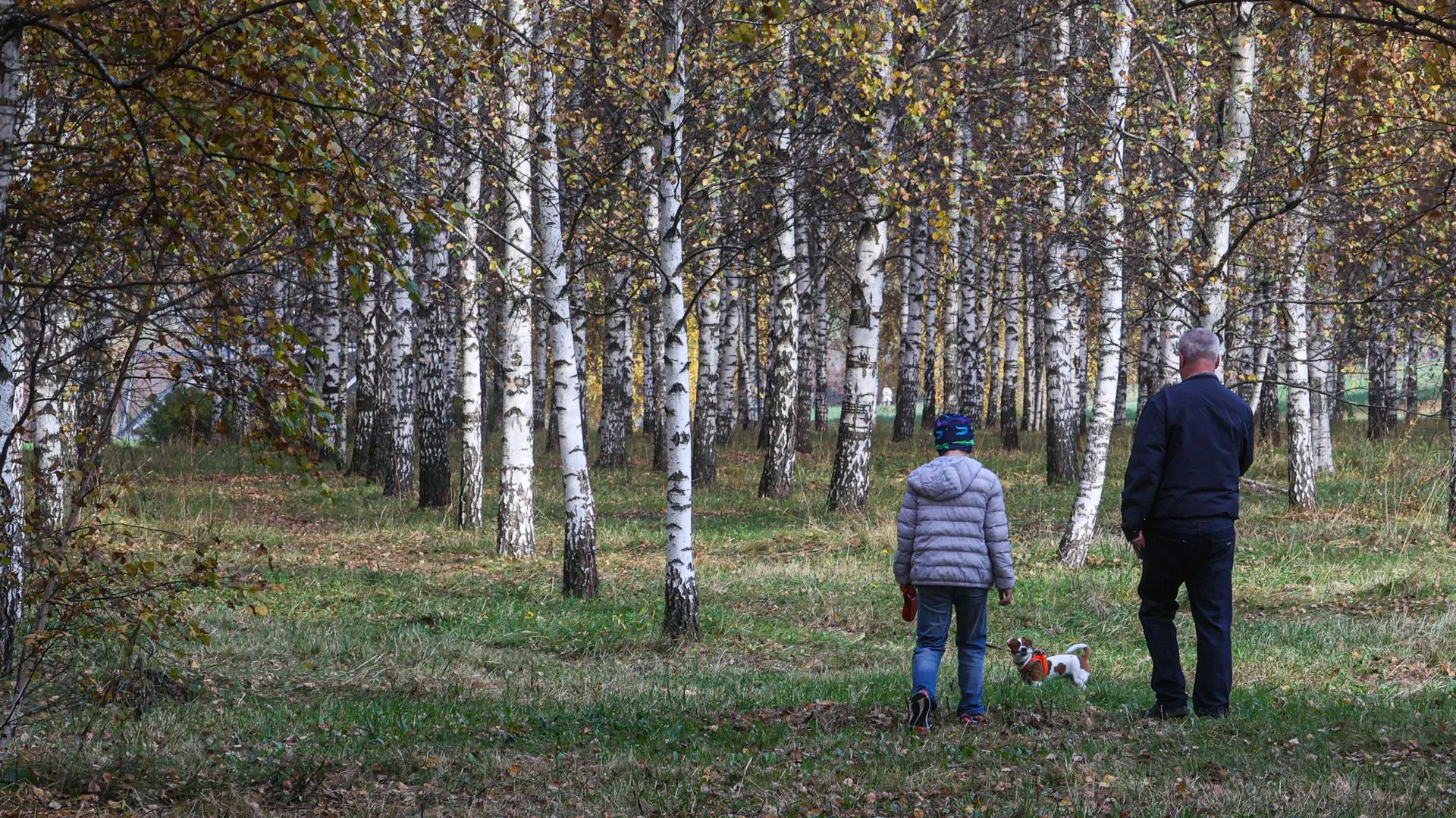 Bulkin Sergey/news.ru
