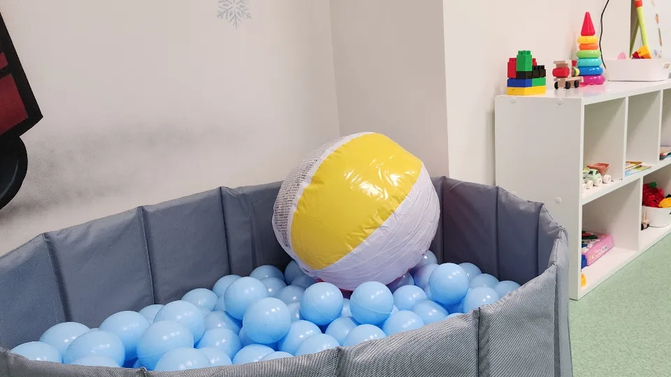 Фото: МедиаБанк Подмосковья/Валерия Тингаева