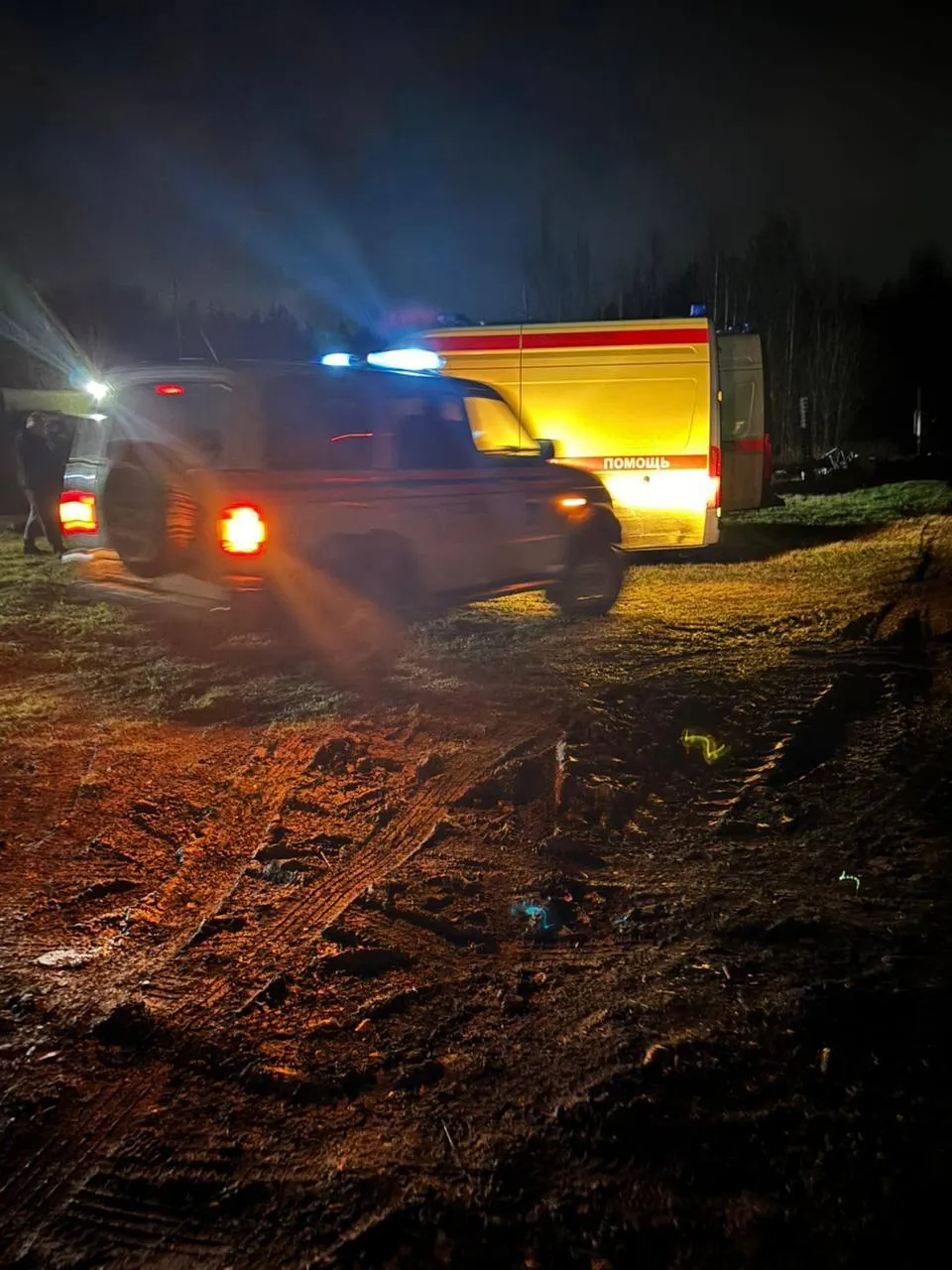 Официальный Telegram-канал главы Республики Карелия Артура Парфенчикова