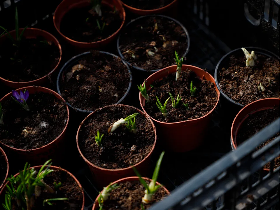 Фото: REGIONS/Наталия Надточая