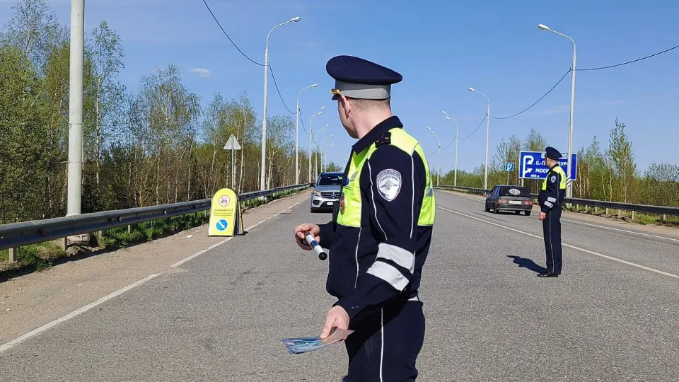 Фото: МедиаБанк Подмосковья/Евгения Герасимова