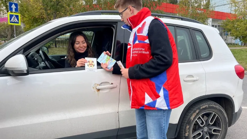 Фото: Отдел Госавтоинспекции ОМВД России «Чеховский»