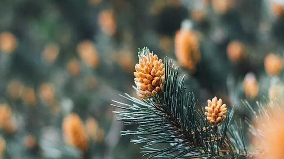 Фото: Медиаархив МО