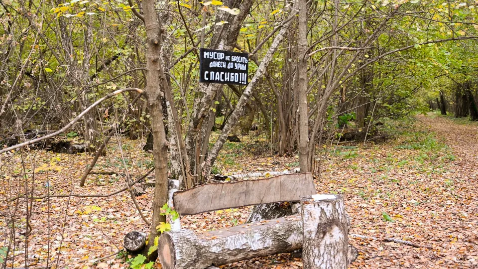 Фото: пресс-служба Администрации г.о. Ленинский