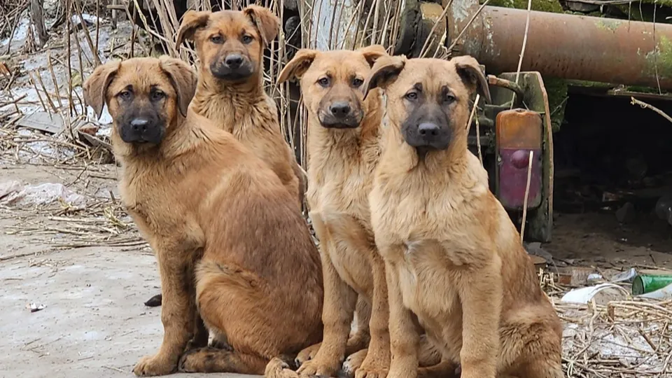 Фото: Наталья Лымарь
